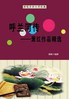 呼兰河传：萧红作品精选（感悟文学大师经典）在线阅读