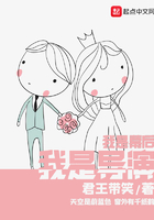 我是幕后，我是導演在線閱讀