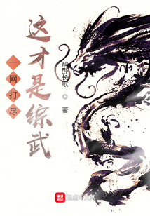 一網打盡，這才是綜武