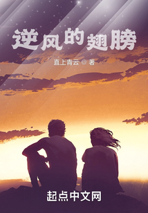 逆風(fēng)的翅膀