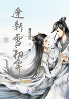 若逢新雪初霁