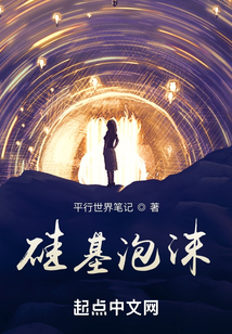 硅基泡沫