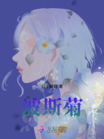 波斯菊