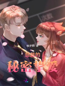 總裁的秘密摯愛