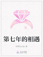 第七年的相遇在线阅读
