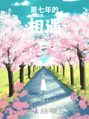 第七年的相遇在线阅读