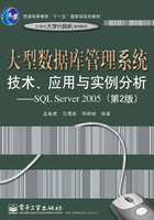 大型数据库管理系统技术、应用与实例分析：SQL Server 2005