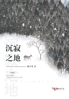沉寂之地