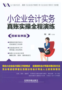 小企業(yè)會(huì)計(jì)實(shí)務(wù)真賬實(shí)操全程演練(圖解案例版)