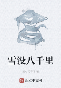 雪没八千里