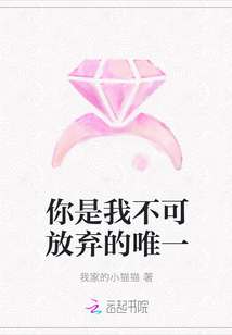 你是我不可放棄的唯一