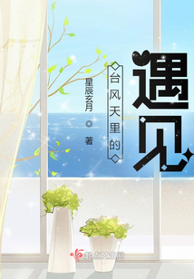 臺風天里的遇見