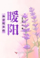 掬進眼里的暖陽在線閱讀