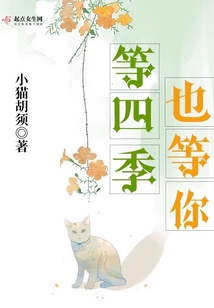 等四季也等你