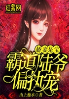 娇妻是宝:霸道陆爷偏执宠在线阅读