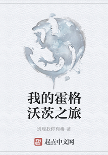 我的霍格沃茨之旅