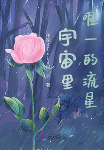 宇宙里唯一的流星