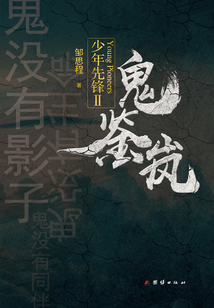 少年先锋Ⅱ:鬼鉴岚