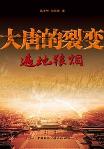 大唐的裂变 遍地狼烟