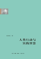 人类行动与实践智慧（杨国荣作品系列）