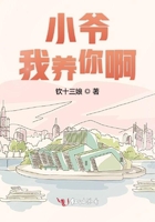 小爺我養你啊在線閱讀