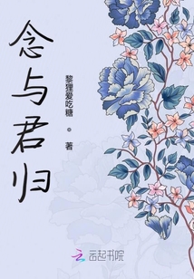 念與君歸