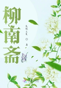 柳南齋