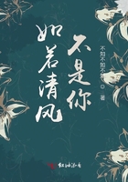 如若清風(fēng)不是你在線閱讀