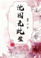 沈園無此生在線閱讀