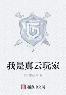 我是真云玩家