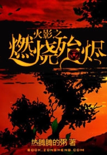 火影之燃燒殆燼