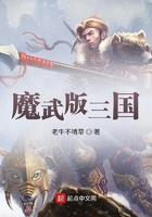 魔武版三国在线阅读