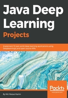 Java Deep Learning Projects在线阅读