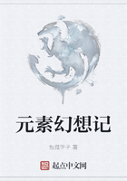 元素幻想记在线阅读