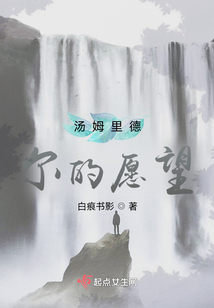 里德爾的愿望