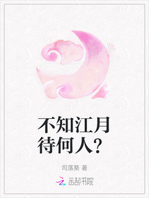 不知江月待何人？