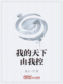我的天下由我控