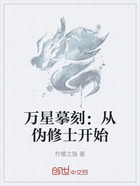 万星摹刻:从伪修士开始在线阅读