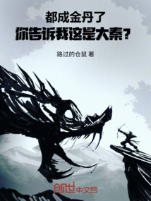 都成金丹了,你告訴我這是大秦?