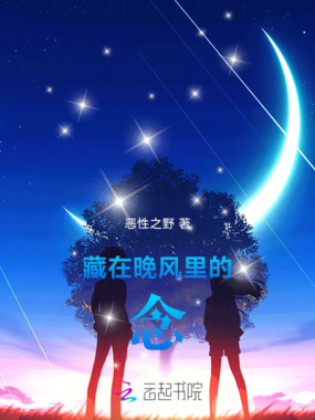 藏在晚风里的念在线阅读