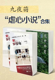 九夜茴“虐心小說”合集