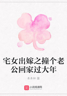 宅女出嫁之撞個老公回家過大年
