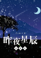昨夜星辰淡夜風在線閱讀