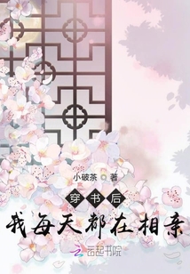 穿書后我每天都在相親