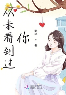 從未看到過你