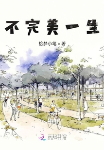 不完美一生