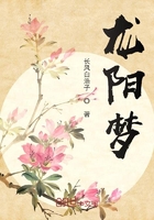 龙阳梦在线阅读