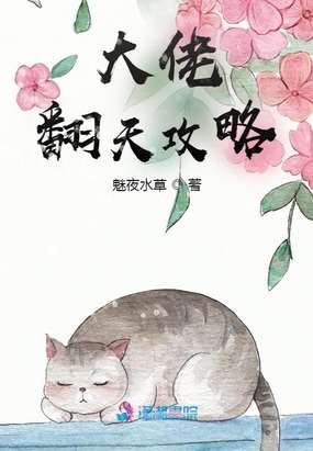 大佬翻天攻略在线阅读