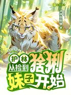 护林从捡到猞猁妹子开始