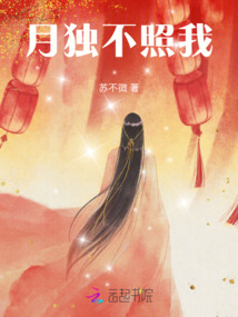 月獨不照我